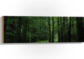 WallClassics - Hout - Wandelpad in Bos - 90x30 cm - 12 mm dik - Foto op Hout (Met Ophangsysteem)