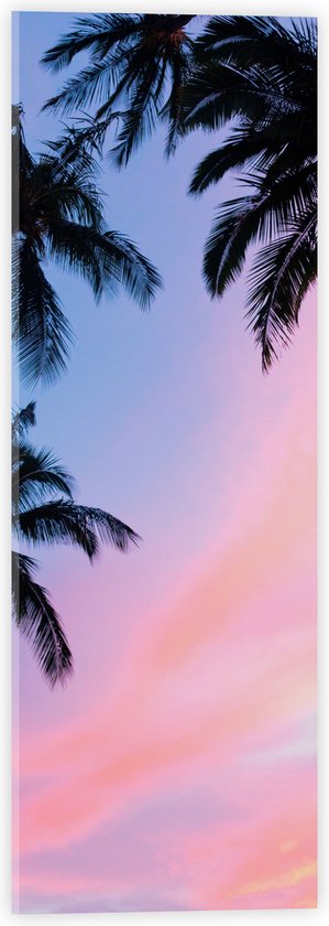 WallClassics - Verre Acrylique - Silhouette de Palmiers avec Couleurs en Pâte dans l'Air - Photo 20x60 cm sur Verre Acrylique (Avec Système d'accrochage)