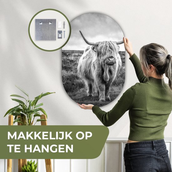 Miroir ovale mural - Décoration murale en plastique - Tableau ovale - Highlander écossais - Animaux - Nuages ​​- Vache - Nature - 60x90 cm - Miroir ovale sur plastique