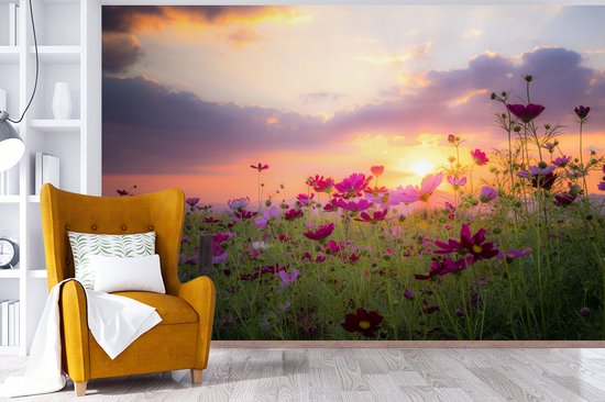 Champ de fleurs avec des fleurs roses au crépuscule 600x400 cm