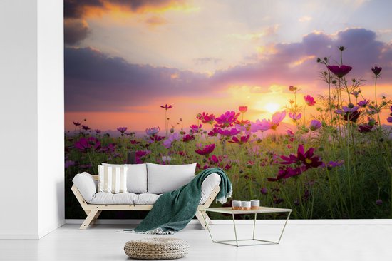 Champ de fleurs avec des fleurs roses au crépuscule 600x400 cm