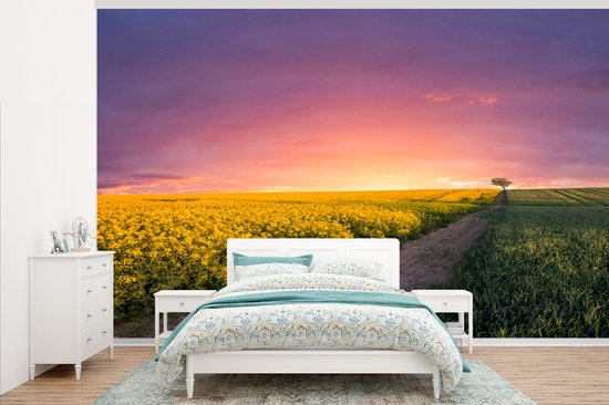 Route le long du champ de fleurs dans la nuit 345x220 cm