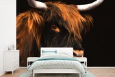 Papier peint - Papier peint photo peint Highlander écossais - Zwart - Corne - Largeur 330 cm x hauteur 220 cm