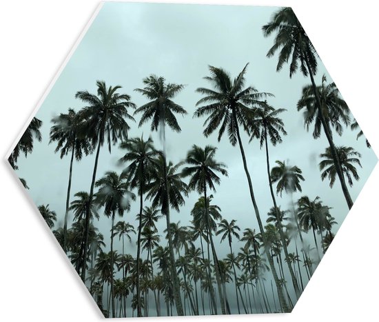 WallClassics - PVC Schuimplaat Hexagon  - Regenwolken boven Palmbomen - 40x34.8 cm Foto op Hexagon (Met Ophangsysteem)
