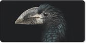 Bureauonderlegger - Vogel - Portret - Neushoornvogel - Zwart - Dieren - 60x30 - Muismat