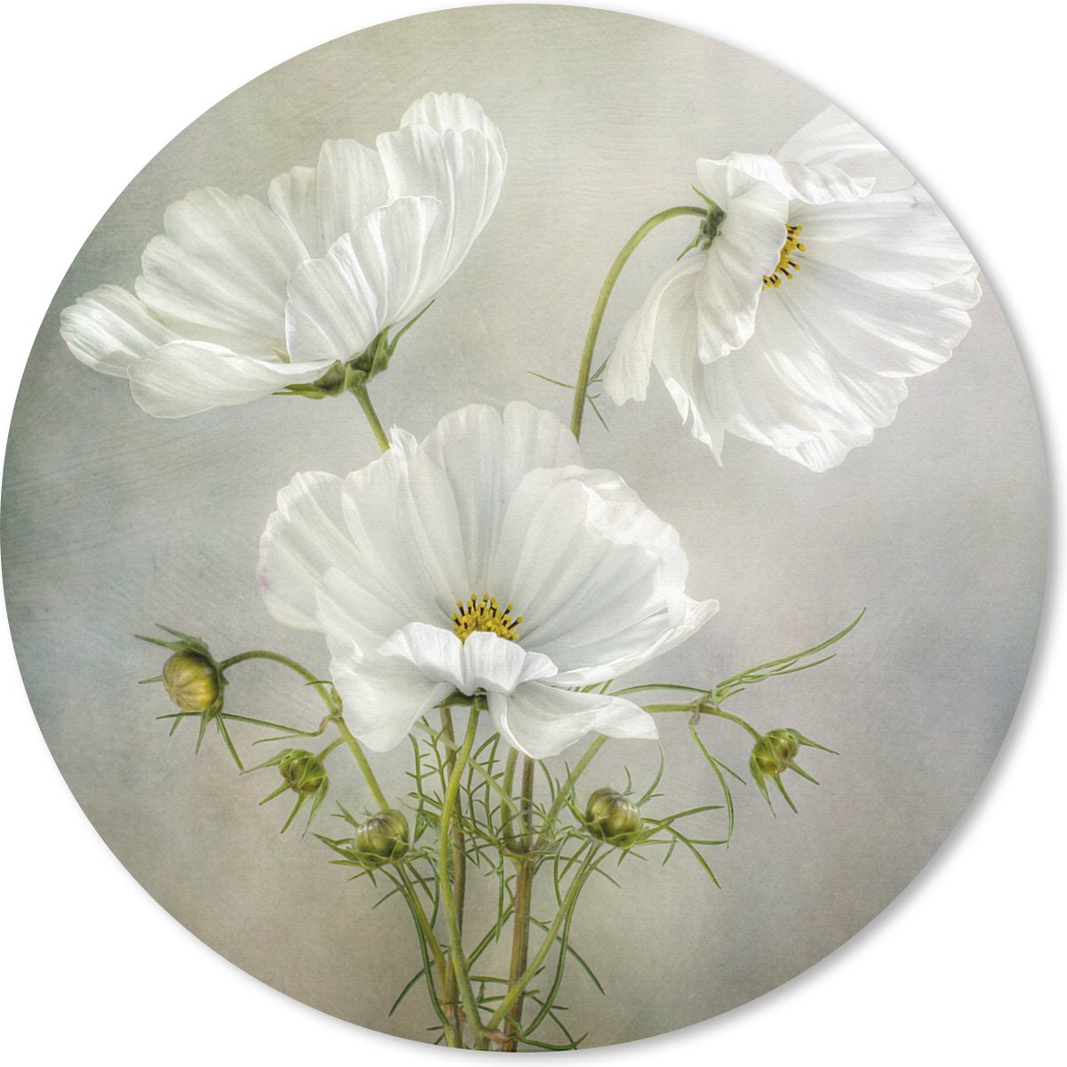 Muismat rond 20x20 cm - Mousepad Bloemen - Stilleven - Klaproos - Wit - Botanisch - Ronde muismatten