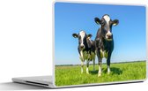 Laptop sticker - 12.3 inch - Koeien - Weiland - Gras - Dieren - Boerderij - 30x22cm - Laptopstickers - Laptop skin - Cover