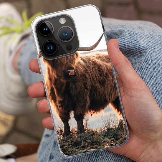 Apple iPhone 14 Pro - Étui souple - Highlander écossais - Animaux - Rural - Paysage - Vache - Nature - Étui de téléphone en Siliconen