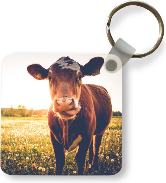 Porte-clés - Cadeaux - Vache - Coucher de soleil - Fleurs - Herbe - Animaux - Plastique