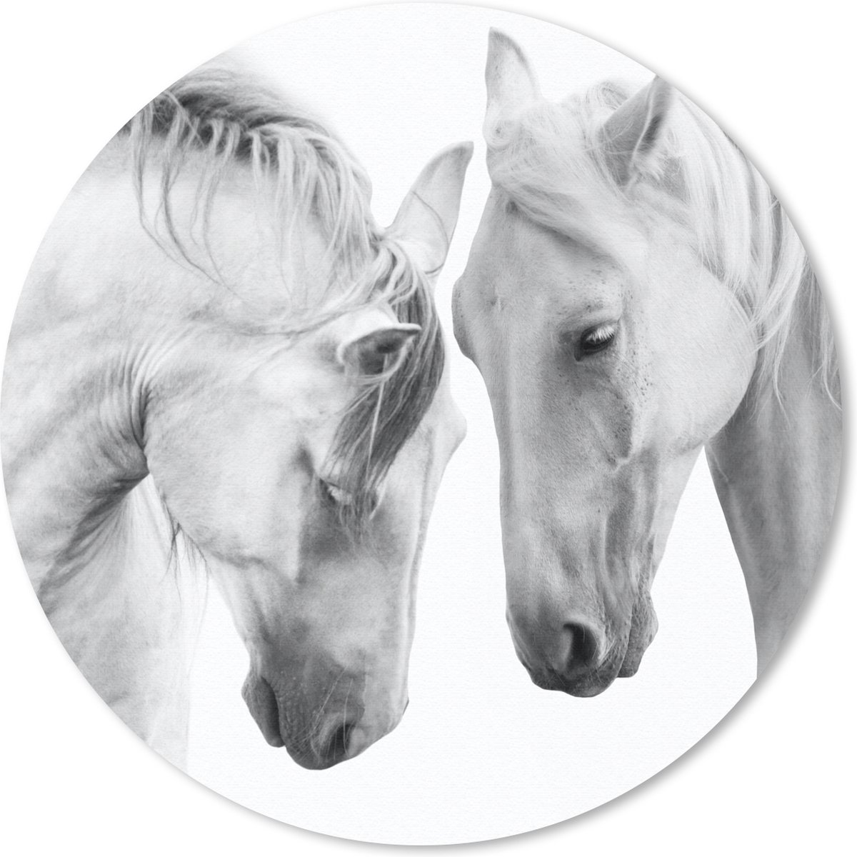 Muismat rond 50x50 cm - Mousepad Paard - Dieren - Portret - Wit - Ronde muismatten