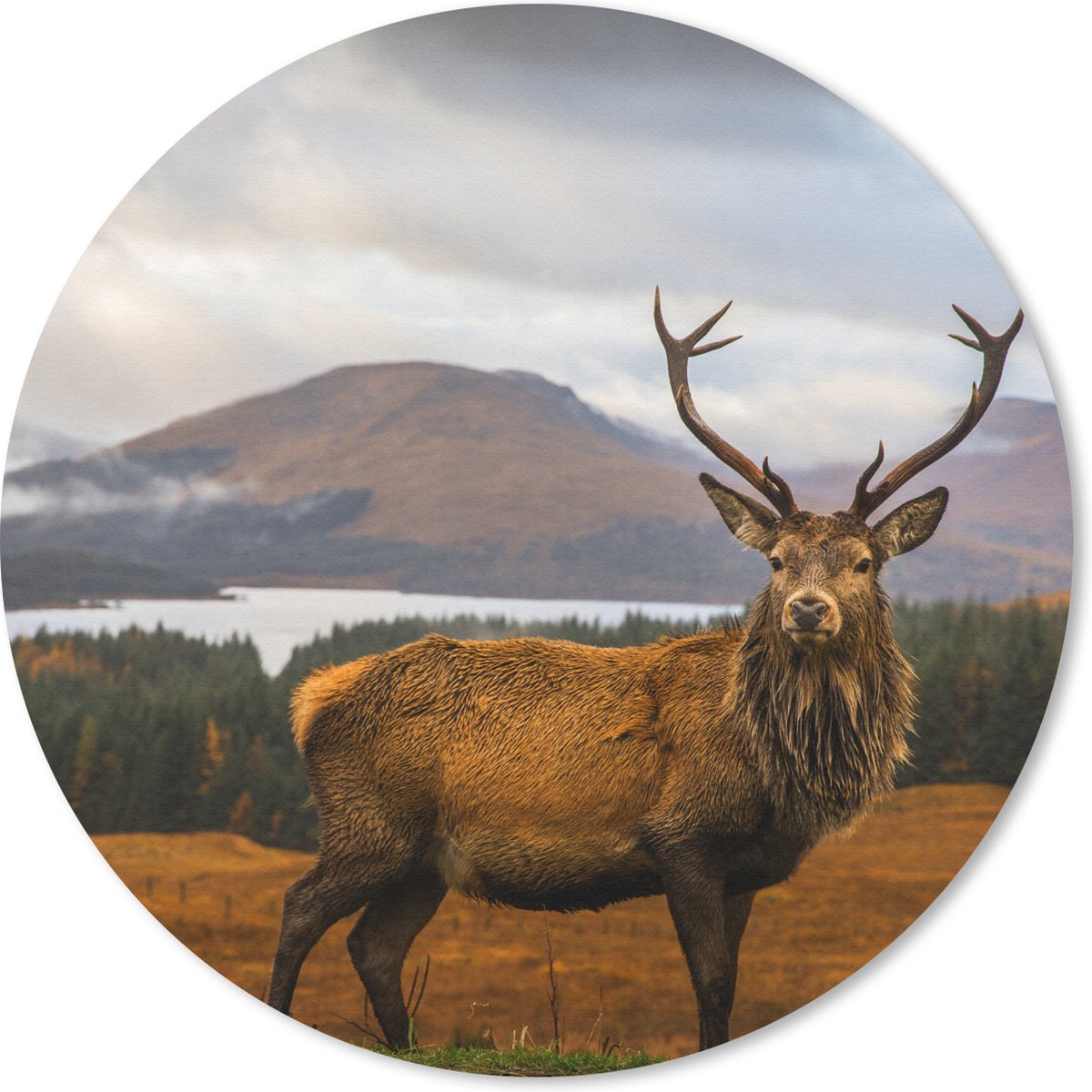 Muismat rond 40x40 cm - Mousepad Hert - Berg - Water - Landschap - Dieren - Bomen - Ronde muismatten