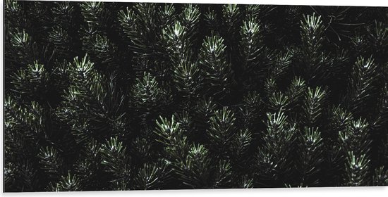WallClassics - Dibond - Bovenkant van Kerstbomen  - 100x50 cm Foto op Aluminium (Met Ophangsysteem)