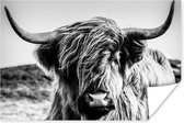 Poster Koe - Schotse hooglander - Zwart - Wit - Dier - Natuur - Wild - 180x120 cm XXL