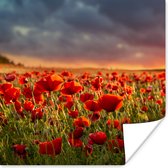 Poster Zonsondergang - Klaprozen - Rood - Bloemen - Veld - Natuur - 30x30 cm