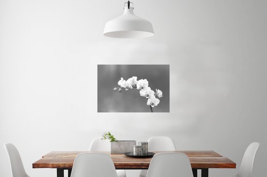 Affiche Orchidée - Fleurs - Plante - Wit - Violet - 60x40 cm