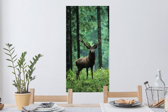 Stickers Stickers muraux - Cerf - Forêt - Arbres - 40x80 cm - Feuille adhésive