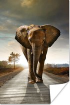 Poster Olifant - Weg - Dieren - Olifant - Zonsondergang - Landschap - Afrika - 40x60 cm