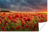 Poster Zonsondergang - Klaprozen - Rood - Bloemen - Veld - Natuur - 30x20 cm