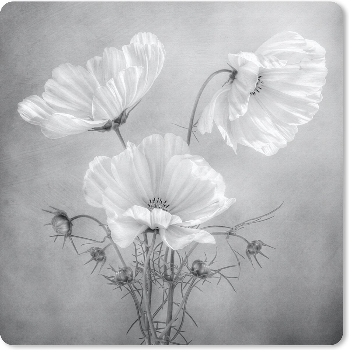 Muismat 20x20 cm - Mousepad Stilleven - Bloemen - Zwart wit - Klaproos - Botanisch - Muismatten