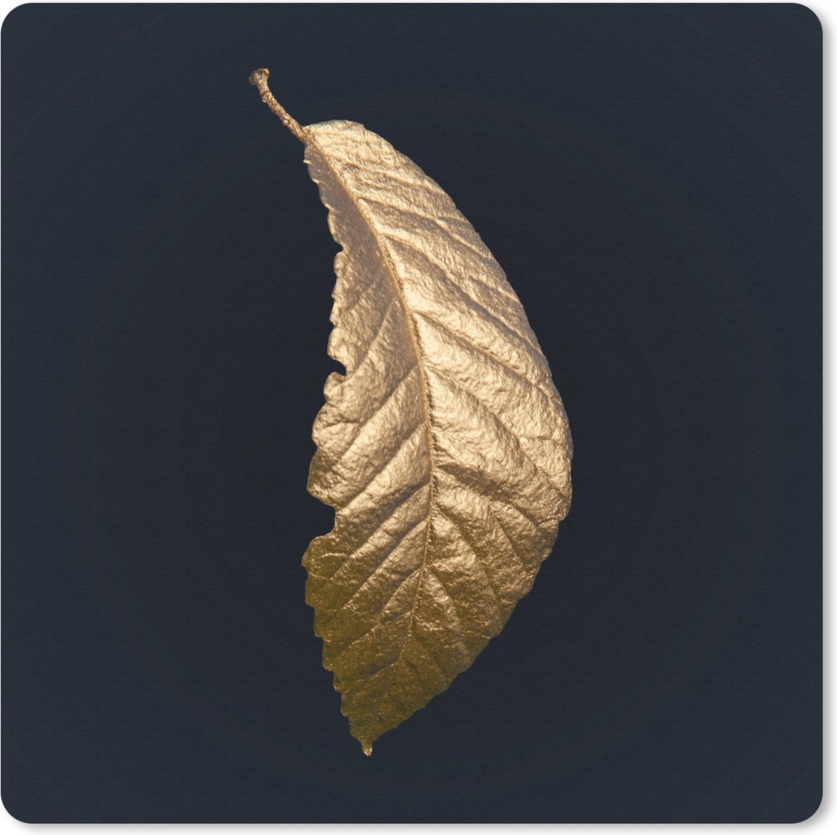 Muismat 30x30 cm - Mousepad Bladeren - Luxe - Goud - Zwart - Natuur - Muismatten