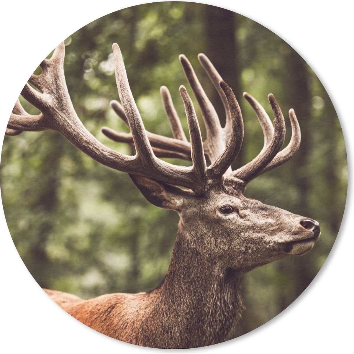 Muismat rond 40x40 cm - Mousepad Hert - Natuur - Gewei - Bos - Dieren - Ronde muismatten