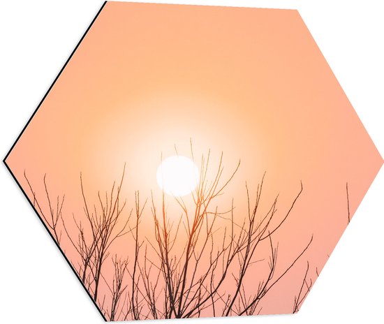 WallClassics - Dibond Hexagon - Roze Lucht en Zon bij Boomtoppen - 60x52.2 cm Foto op Hexagon (Met Ophangsysteem)
