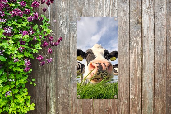Poster de jardin Vache - Ferme - Herbe - Animaux - 30x60 cm - Toile jardin - Poster extérieur