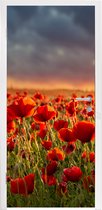 Sticker pour porte Sunset - Coquelicots - Rouge - Fleurs - Champ - Nature - 90x205 cm - Door Poster