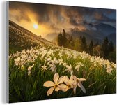 Wanddecoratie Metaal - Aluminium Schilderij Industrieel - Bloemenveld - Heuvels - Zonsondergang - Berg - Natuur - Wit - Heuvels - 90x60 cm - Dibond - Foto op aluminium - Industriële muurdecoratie - Voor de woonkamer/slaapkamer