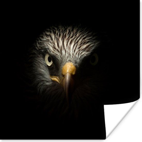 Poster Vogel - Adelaar - Roofvogels - Oog - Snavel - Licht - 100x100 cm XXL