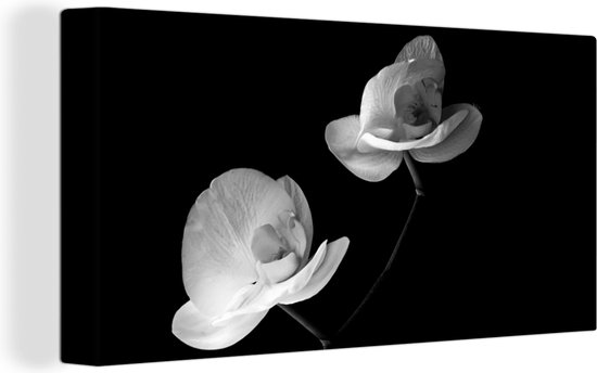 Canvas Schilderij Orchidee - Bloemen - Zwart - Wit - Stilleven - 40x20 cm - Wanddecoratie