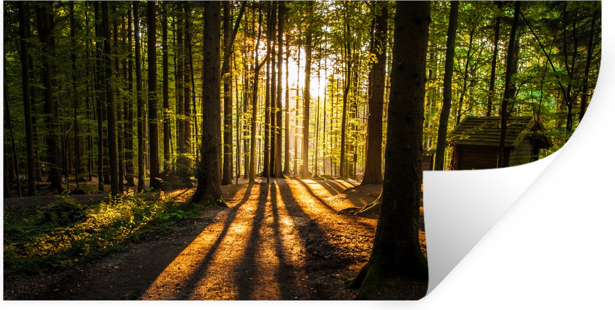 Muurstickers - Sticker Folie - Zon - Bomen - Bos - Landschap - Natuur - 120x60 cm - Plakfo