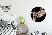 WallCircle - Wandcirkel - Muurcirkel - Giraffe - Dieren - Zwart - Portret - Dieren - Aluminium - Dibond - ⌀ 60 cm - Binnen en Buiten