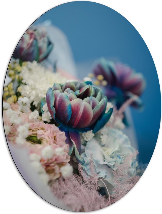 WallClassics - Dibond Ovaal - Bloeiende Tulpjes - 72x96 cm Foto op Ovaal (Met Ophangsysteem)