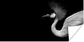 Poster Kraanvogel - Zwart - Wit - Vogel - Dieren - 40x20 cm