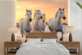 Behang - Fotobehang Paarden - Zon - Zee - Strand - Dieren - Breedte 220 cm x hoogte 220 cm