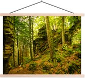 Posterhanger incl. Poster 120x90 cm - Schoolplaat - Bomen - Steen - Bos - Natuur - Planten - Textielposter - Blanke latten