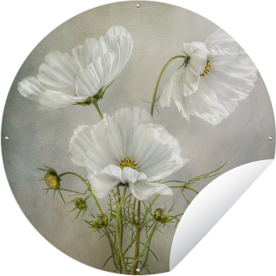 Tuincirkel Bloemen - Stilleven - Klaproos - Wit - Botanisch - 60x60 cm - Ronde Tuinposter - Buiten
