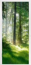 Deursticker Natuur - Bomen - Bos - Groen - Zon - Gras - Planten - 95x215 cm - Deurposter
