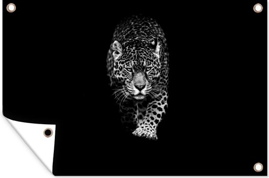 Décoration murale Animaux - Zwart - Léopard - Wit - Sauvage - 180x120 cm - Poster jardin - Toile jardin - Poster extérieur