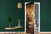 Deursticker Leeuw - Dieren - Zwart - Licht - Bruin - Portret - 80x205 cm - Deurposter