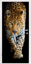 Deursticker Luipaard - Dieren - Portret - Wilde dieren - Zwart - 90x205 cm - Deurposter