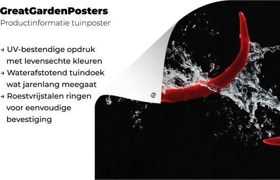 Décoration murale Piment - Nature morte - Water - Zwart - Rouge - 180x120 cm - Poster jardin - Toile jardin - Poster extérieur