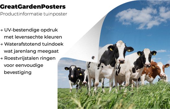 Affiche jardin - Toile jardin - Affiches jardin extérieur - Vaches - Campagne - Pâturage - Nature - Animaux - Posters de jardin cm - Jardin