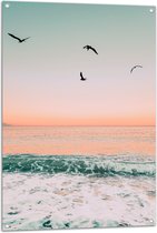 WallClassics - Tuinposter – Vliegende Vogels boven de Zee - 70x105 cm Foto op Tuinposter  (wanddecoratie voor buiten en binnen)