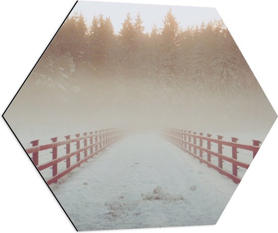WallClassics - Dibond Hexagon - Rode Brug met Sneeuw en Mist bij Bos - 70x60.9 cm Foto op Hexagon (Met Ophangsysteem)