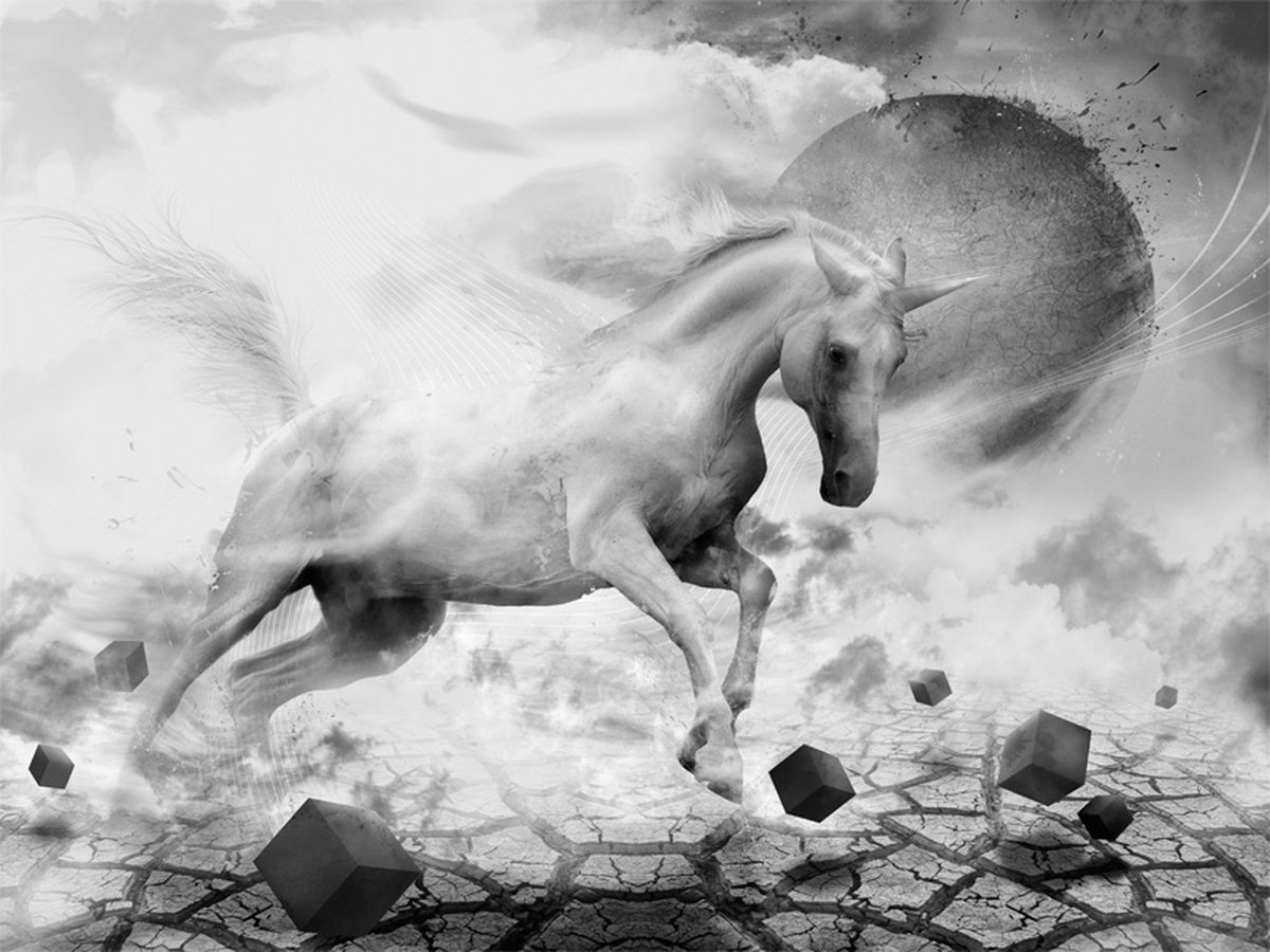 Fotobehang - Unicorn.