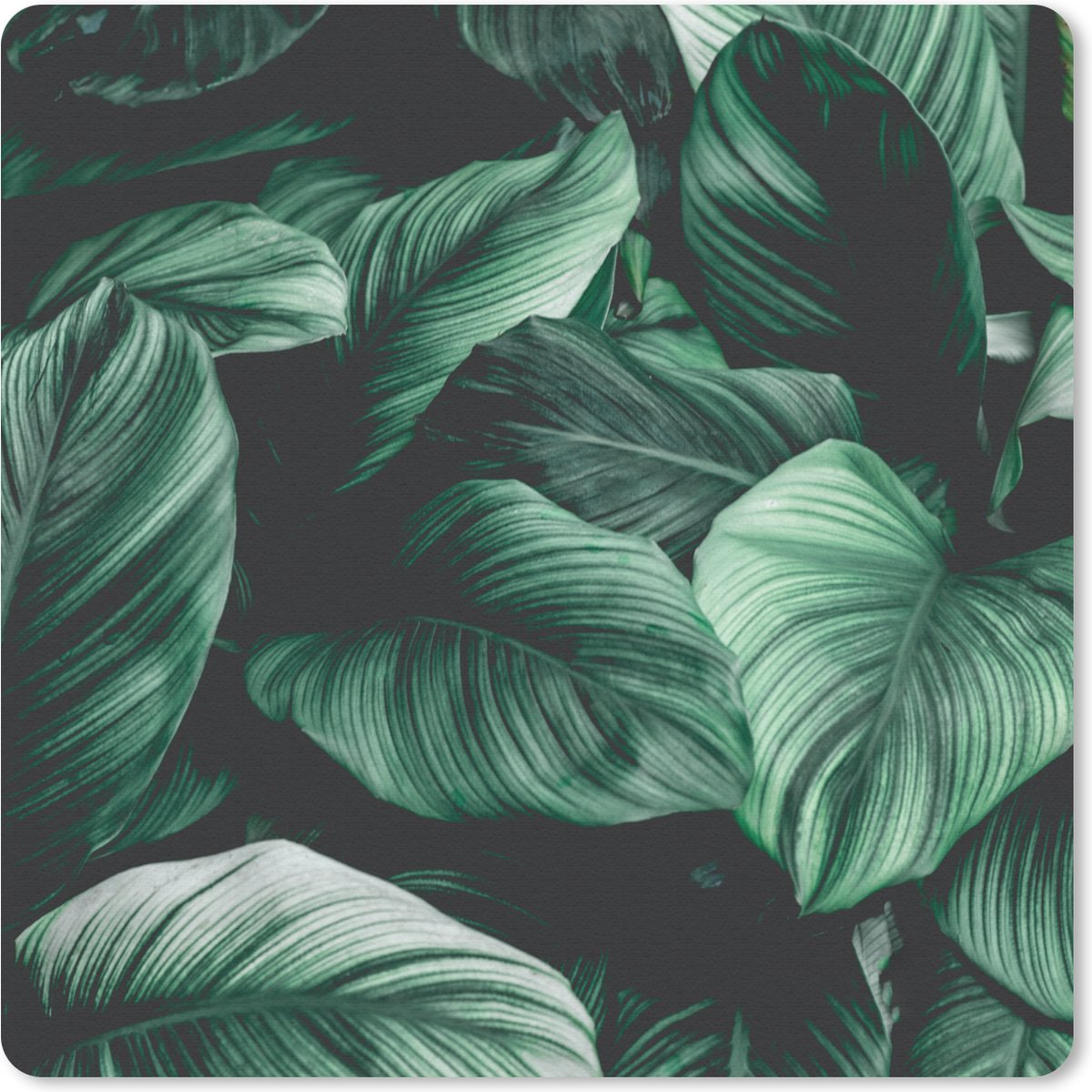 Muismat 20x20 cm - Mousepad Jungle - Bladeren - Tropisch - Planten - Natuur - Muismatten