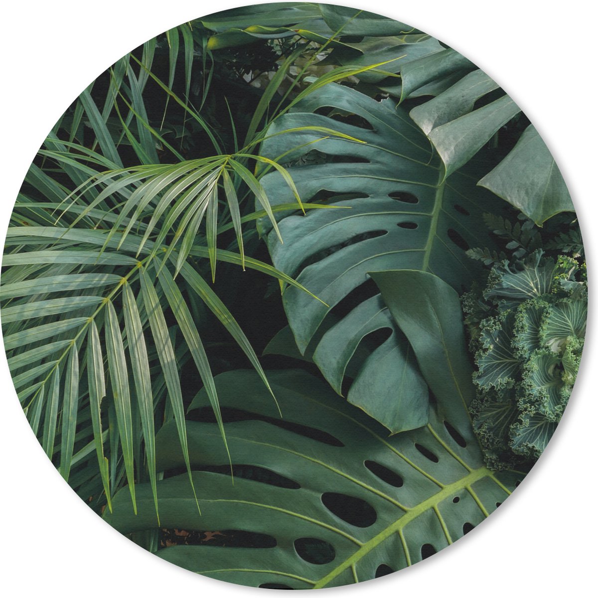 Muismat rond 50x50 cm - Mousepad Planten - Jungle - Bladeren - Tropisch - Ronde muismatten