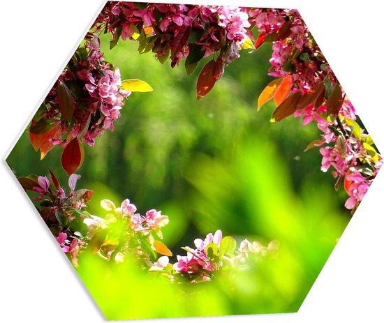 WallClassics - PVC Schuimplaat Hexagon  - Roze Bladeren aan Tak - 60x52.2 cm Foto op Hexagon (Met Ophangsysteem)